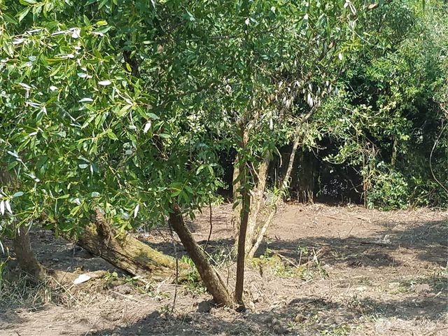 11 xx 6th Avenue SE, Issaquah, WA 98027