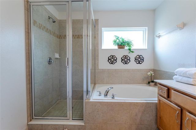 446 ORANGE COSMOS BOULEVARD, Davenport, FL 33837