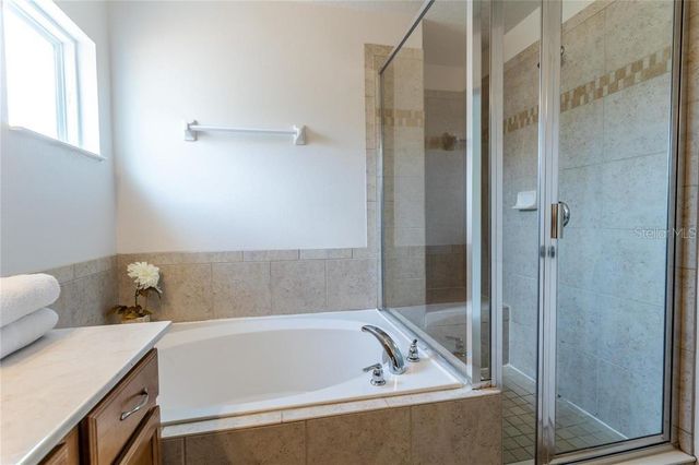 446 ORANGE COSMOS BOULEVARD, Davenport, FL 33837