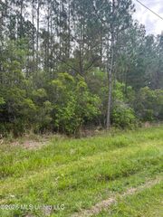 Lot 2 Leetown Road, Picayune, MS 39466