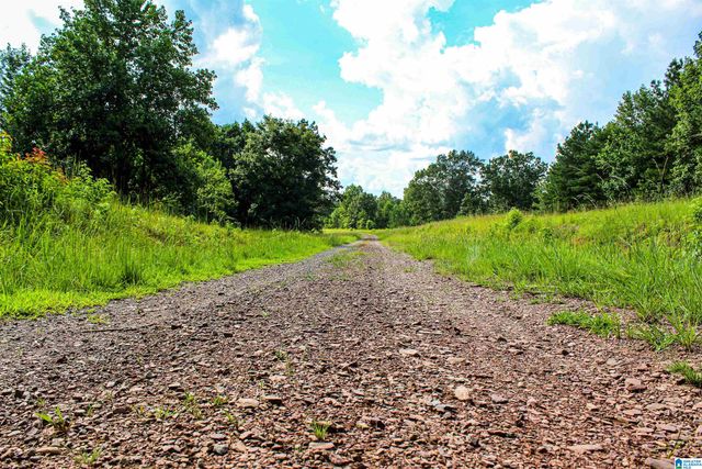 NoBusinessCreek PHILLIPS LANE, Empire, AL 35063