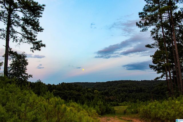 NoBusinessCreek PHILLIPS LANE, Empire, AL 35063