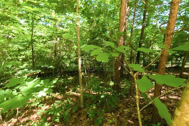 119 Woods Drive, West Union, SC 29696