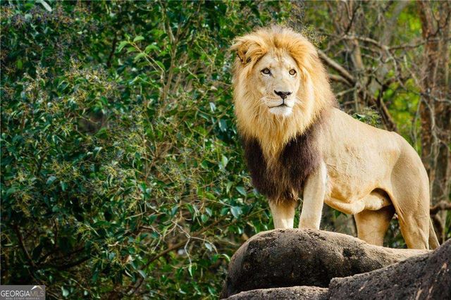 1205 Skylar Lane SE, Atlanta, GA 30315