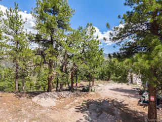 601 Old Glory Rd, Idaho Springs, CO 80452
