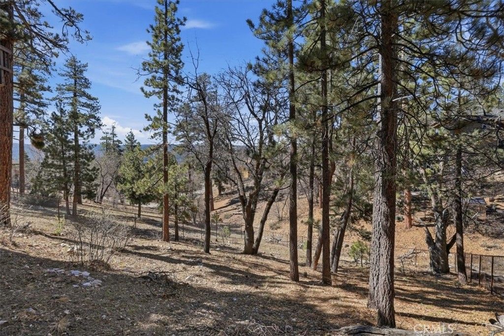 Image 23 of property listing at 1146 Ridge, Fawnskin, CA 92333