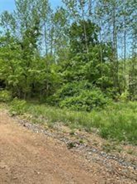 Arabian Drive, Rogers, AR 72756
