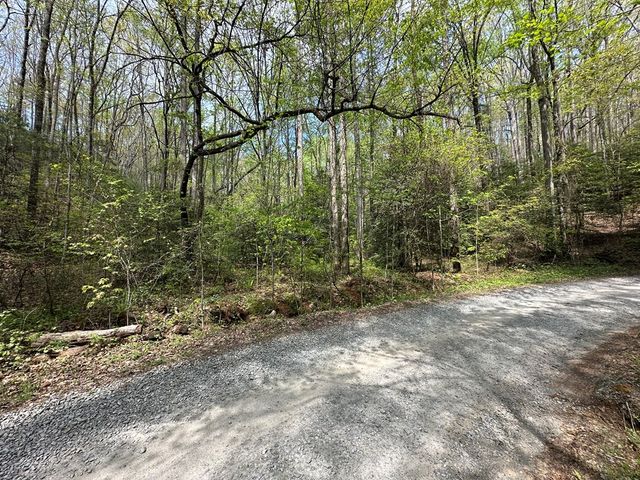 Lot 20 Big Ben Road, Ellijay, GA 30540