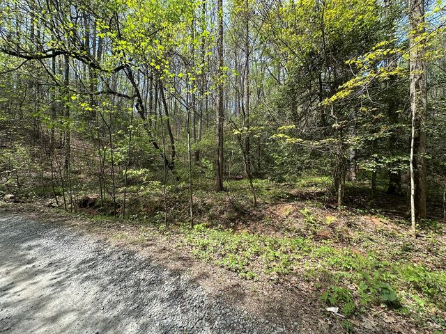 Lot 20 Big Ben Road, Ellijay, GA 30540