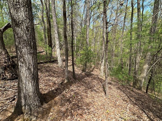 Lot 20 Big Ben Road, Ellijay, GA 30540