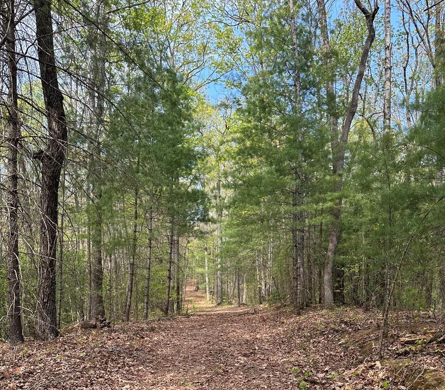 Lot 20 Big Ben Road, Ellijay, GA 30540