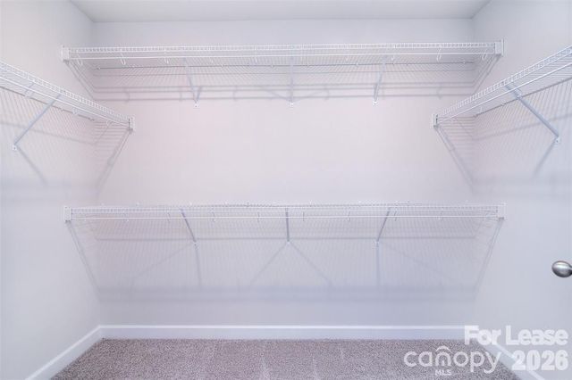 14205 Laughing Gull Drive, Charlotte, NC 28278