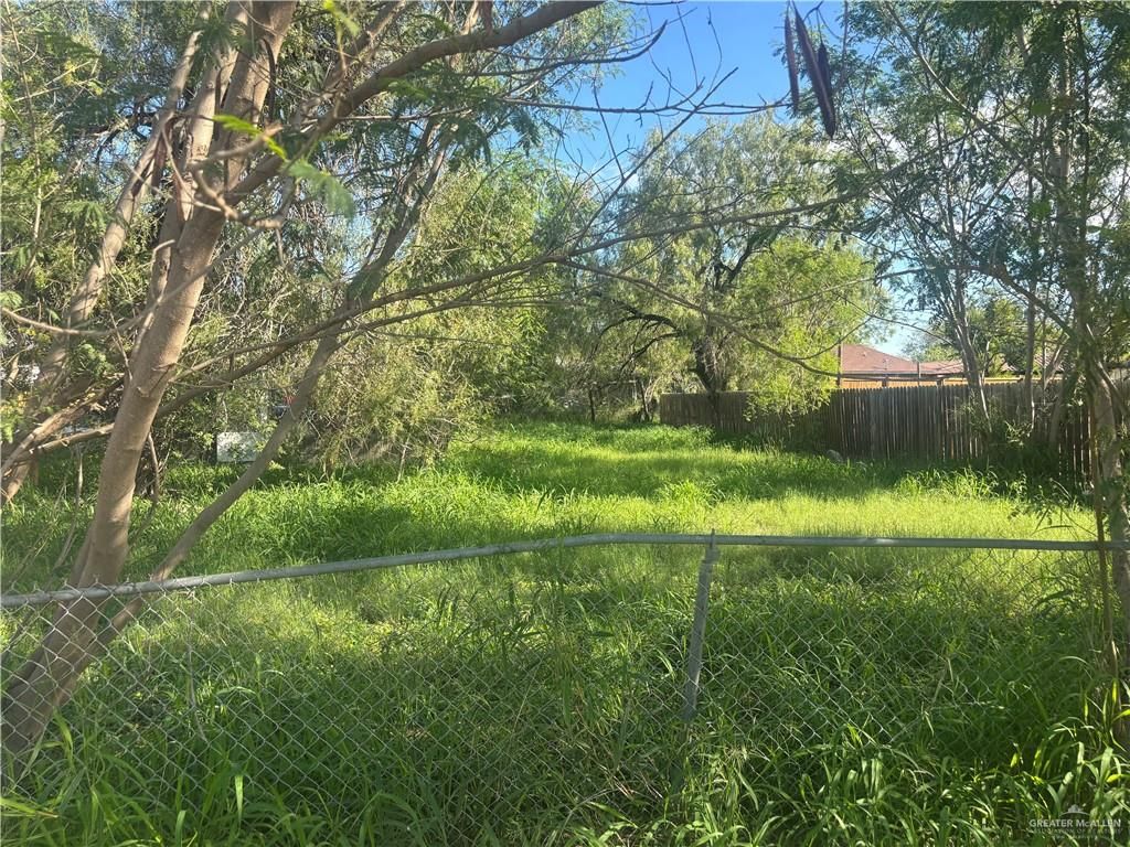 224 W Longoria Drive, Pharr, TX 78577