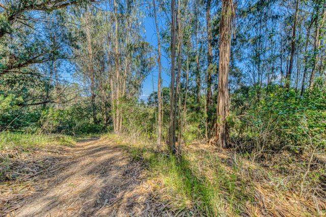 415 Carpenteria Road, Aromas, CA 95004