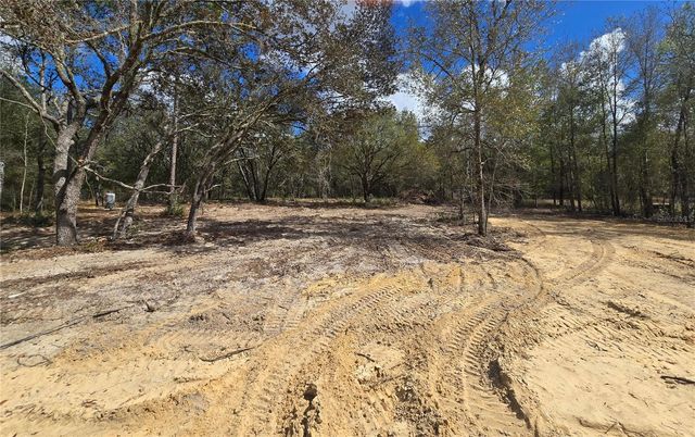 8541 NE 105 AVENUE, Bronson, FL 32621