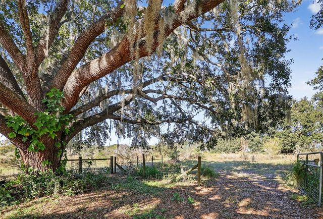 11911 LANE PARK ROAD, Tavares, FL 32778