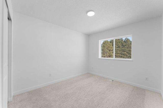 16801 Coquina Street NW, Ramsey, MN 55303