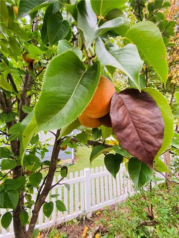 1002 S Main Street, Concordia, MO 64020