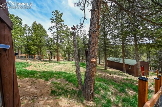 78 Barr Lake Circle, Divide, CO 80814