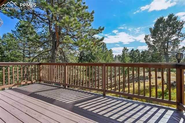 78 Barr Lake Circle, Divide, CO 80814