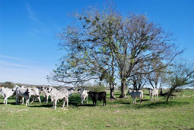 TBD State Hwy 95 Highway N, Moulton, TX 77975