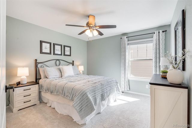 8477 Arapahoe Peak Street, Littleton, CO 80125