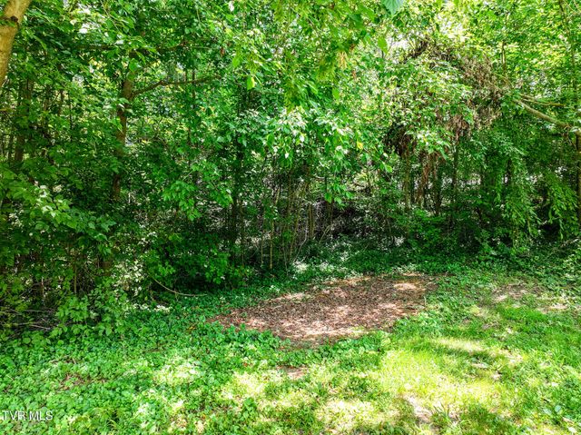 501 South Mckee Street, Greeneville, TN 37743