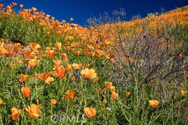 28181 Hidea Way, Silverado Canyon, CA 92676