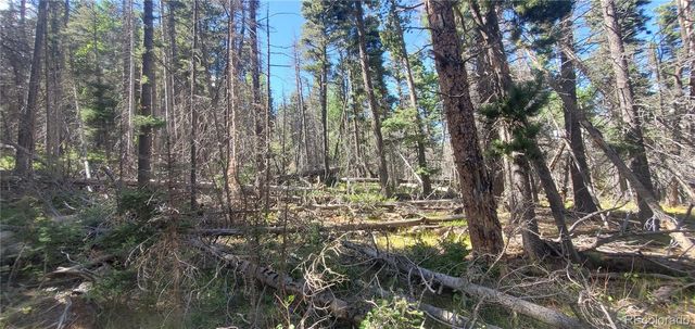 Lot 3427 Grojean Drive, Fort Garland, CO 81133