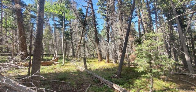 Lot 3427 Grojean Drive, Fort Garland, CO 81133