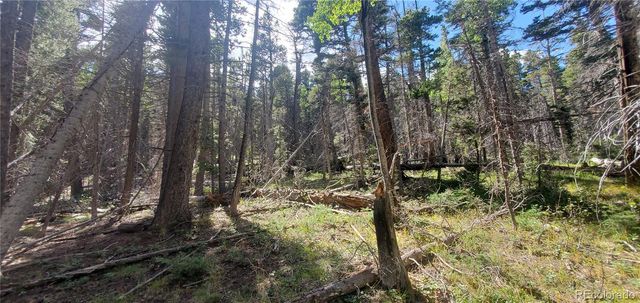 Lot 3427 Grojean Drive, Fort Garland, CO 81133