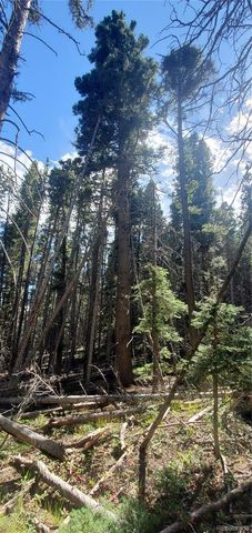 Lot 3427 Grojean Drive, Fort Garland, CO 81133