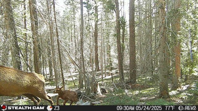 Lot 3427 Grojean Drive, Fort Garland, CO 81133