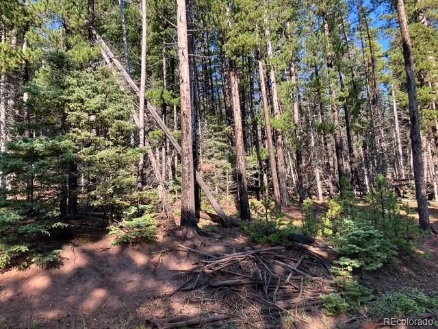 Lot 3427 Grojean Drive, Fort Garland, CO 81133