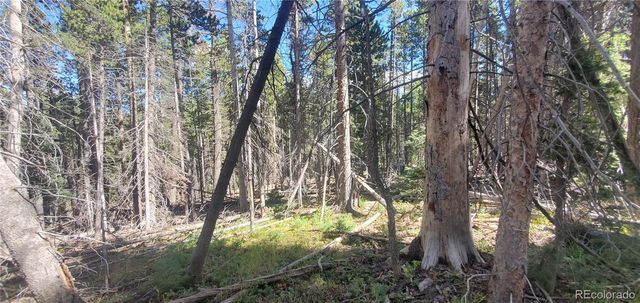 Lot 3427 Grojean Drive, Fort Garland, CO 81133