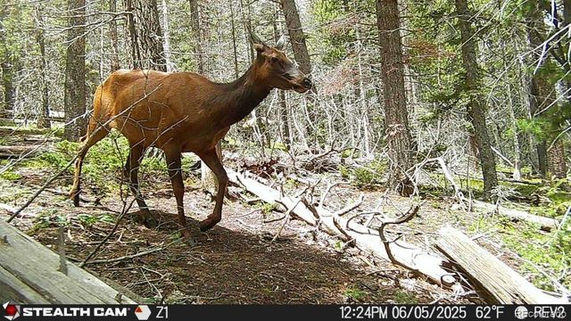 Lot 3427 Grojean Drive, Fort Garland, CO 81133