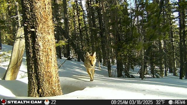 Lot 3427 Grojean Drive, Fort Garland, CO 81133