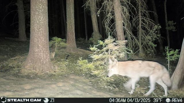 Lot 3427 Grojean Drive, Fort Garland, CO 81133