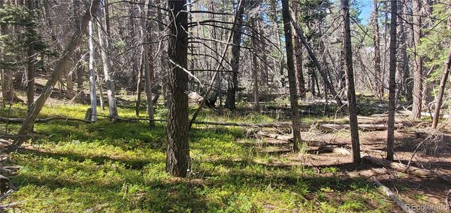 Lot 3427 Grojean Drive, Fort Garland, CO 81133