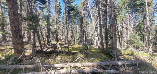 Lot 3427 Grojean Drive, Fort Garland, CO 81133