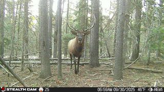 Lot 3427 Grojean Drive, Fort Garland, CO 81133