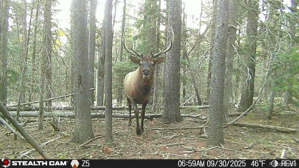 Lot 3427 Grojean Drive, Fort Garland, CO 81133