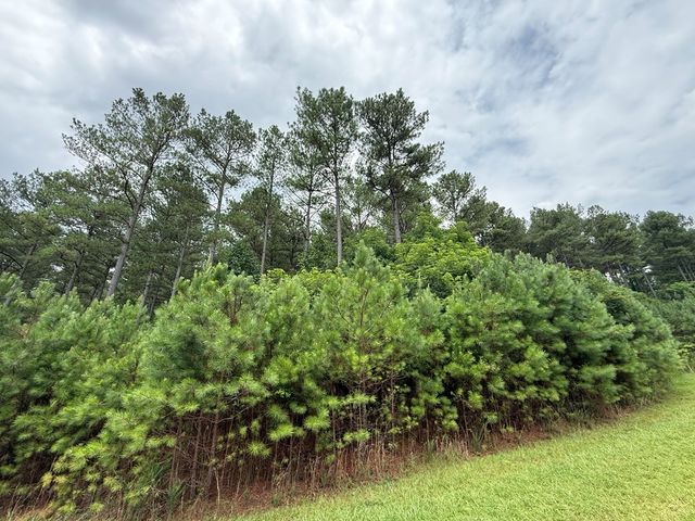 LOT 174 The Stables Loop, Blairsville, GA 30512