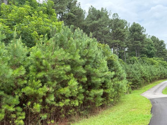 LOT 174 The Stables Loop, Blairsville, GA 30512