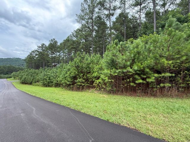 LOT 174 The Stables Loop, Blairsville, GA 30512
