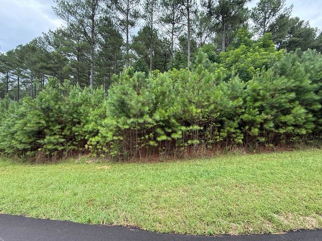 LOT 174 The Stables Loop, Blairsville, GA 30512