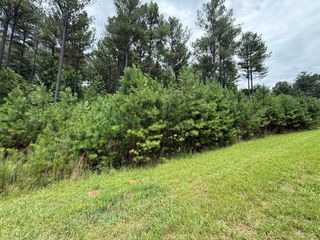 LOT 174 The Stables Loop, Blairsville, GA 30512