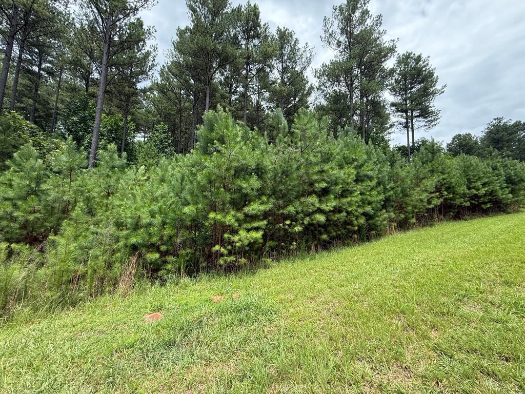 LOT 174 The Stables Loop, Blairsville, GA 30512