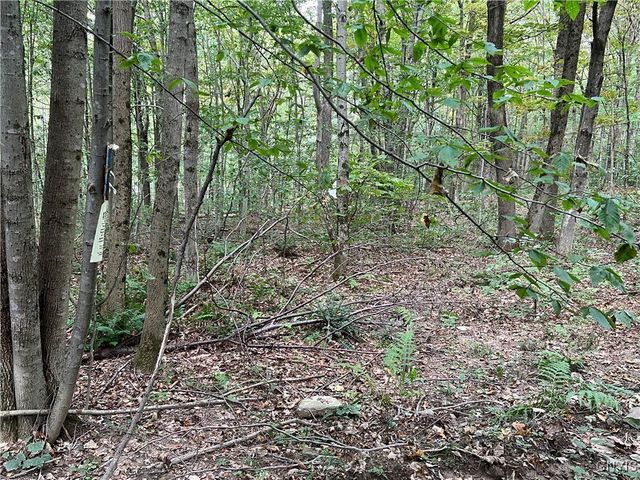 Stramba Road, Freetown, NY 13040