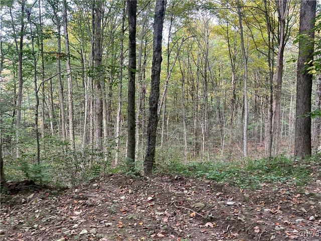 Stramba Road, Freetown, NY 13040